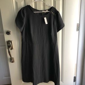 NWT Grey LOFT Dress